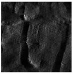 Applsci 14 09574 i017