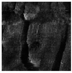 Applsci 14 09574 i018