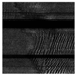 Applsci 14 09574 i019