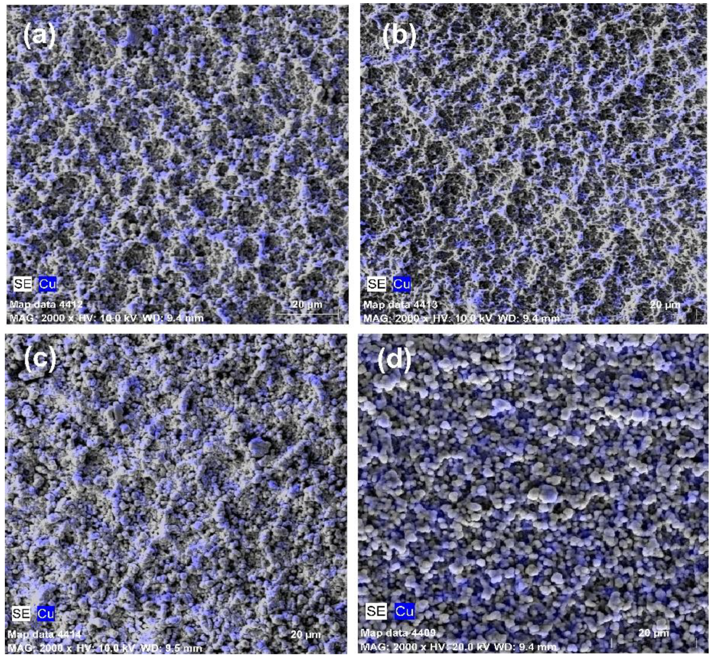 Applsci 14 09578 g005