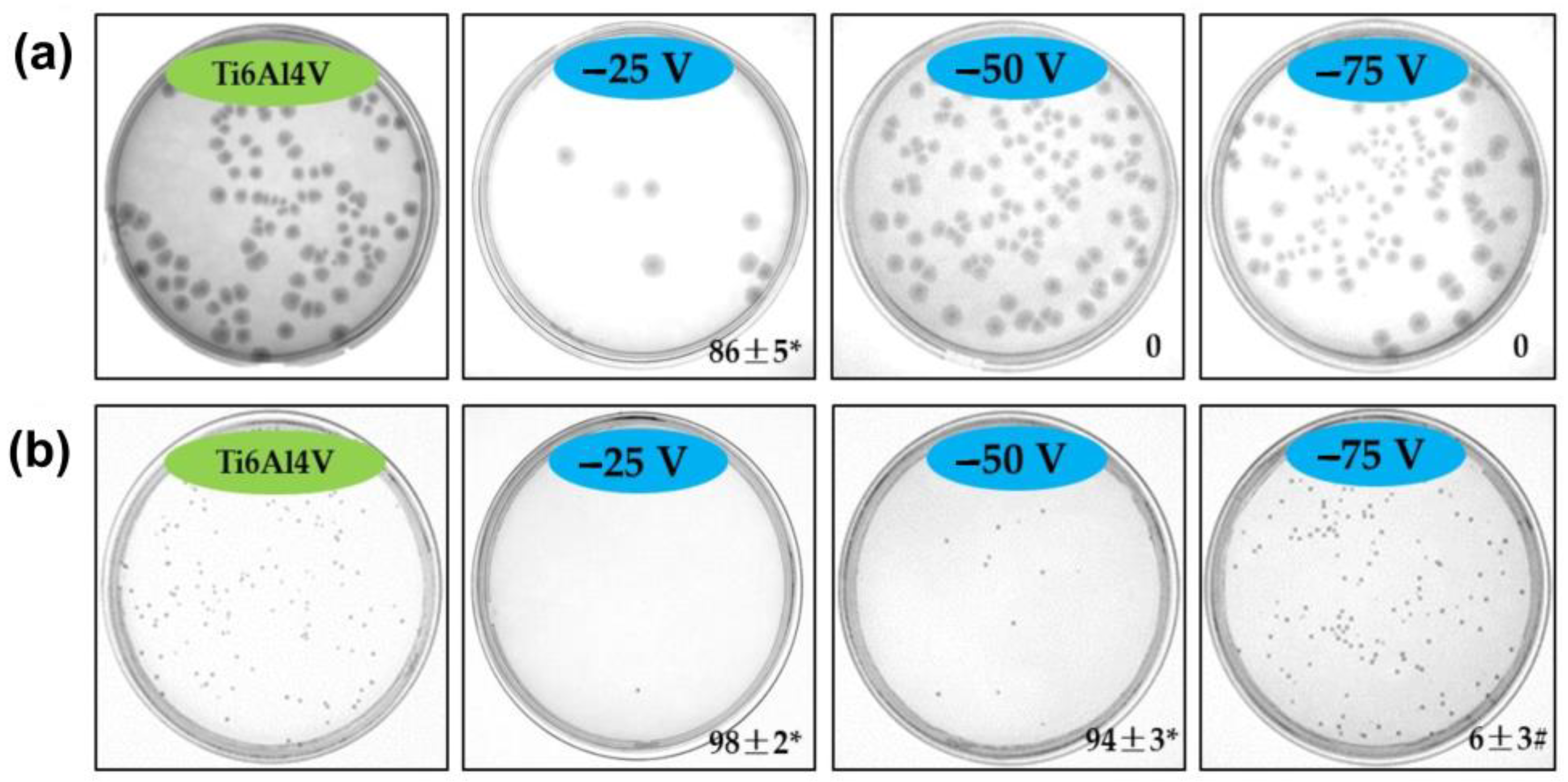 Applsci 14 09578 g010