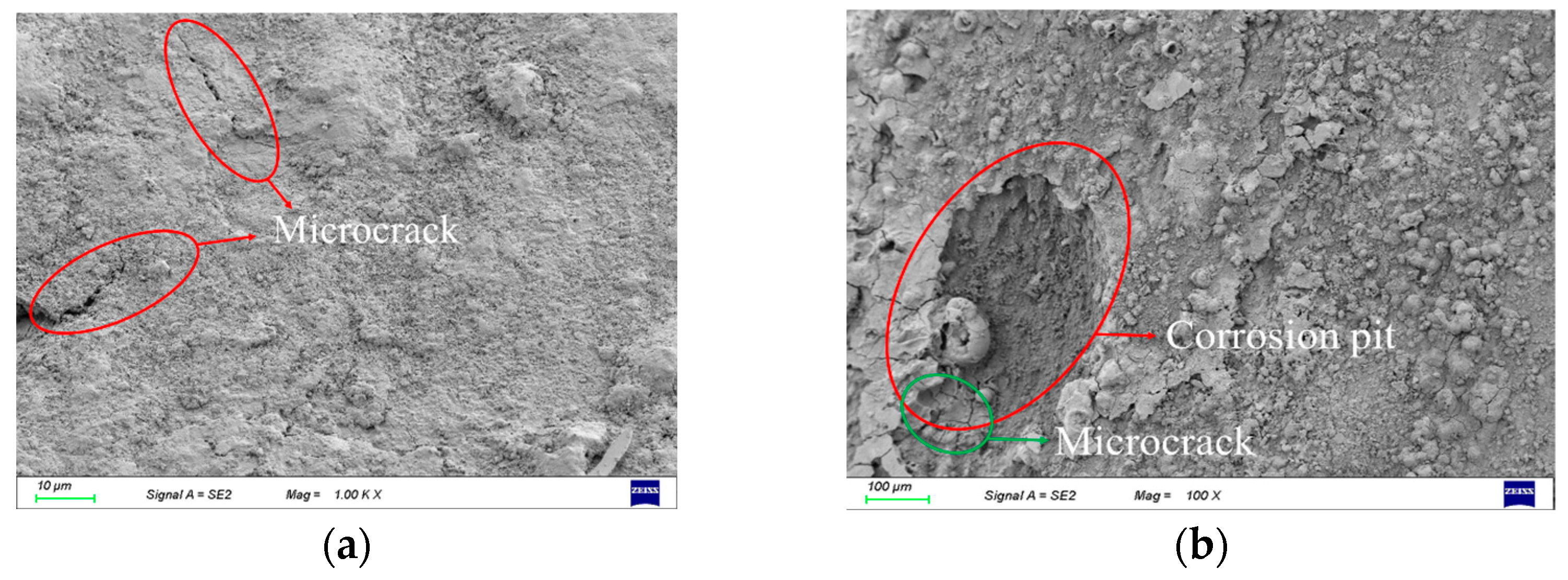 Applsci 14 09596 g002