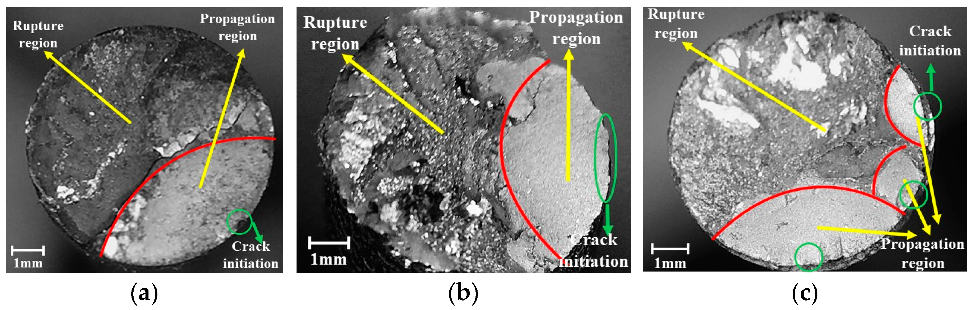 Applsci 14 09596 g003
