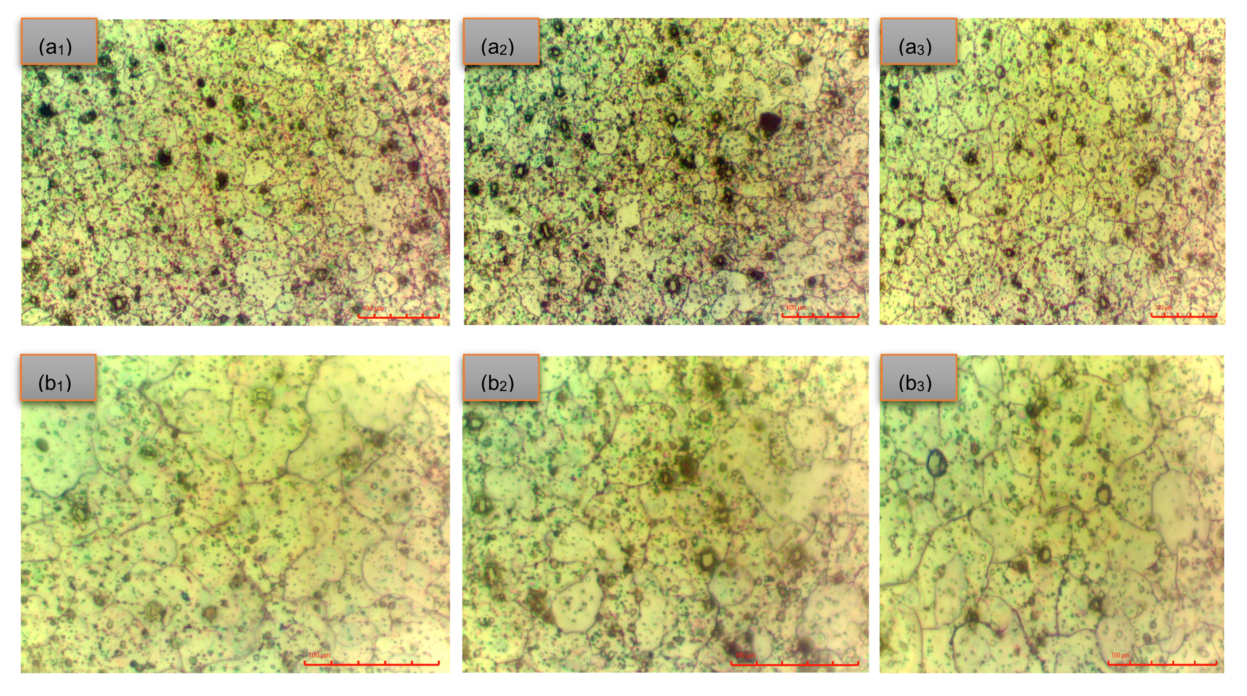 Applsci 14 09616 g005