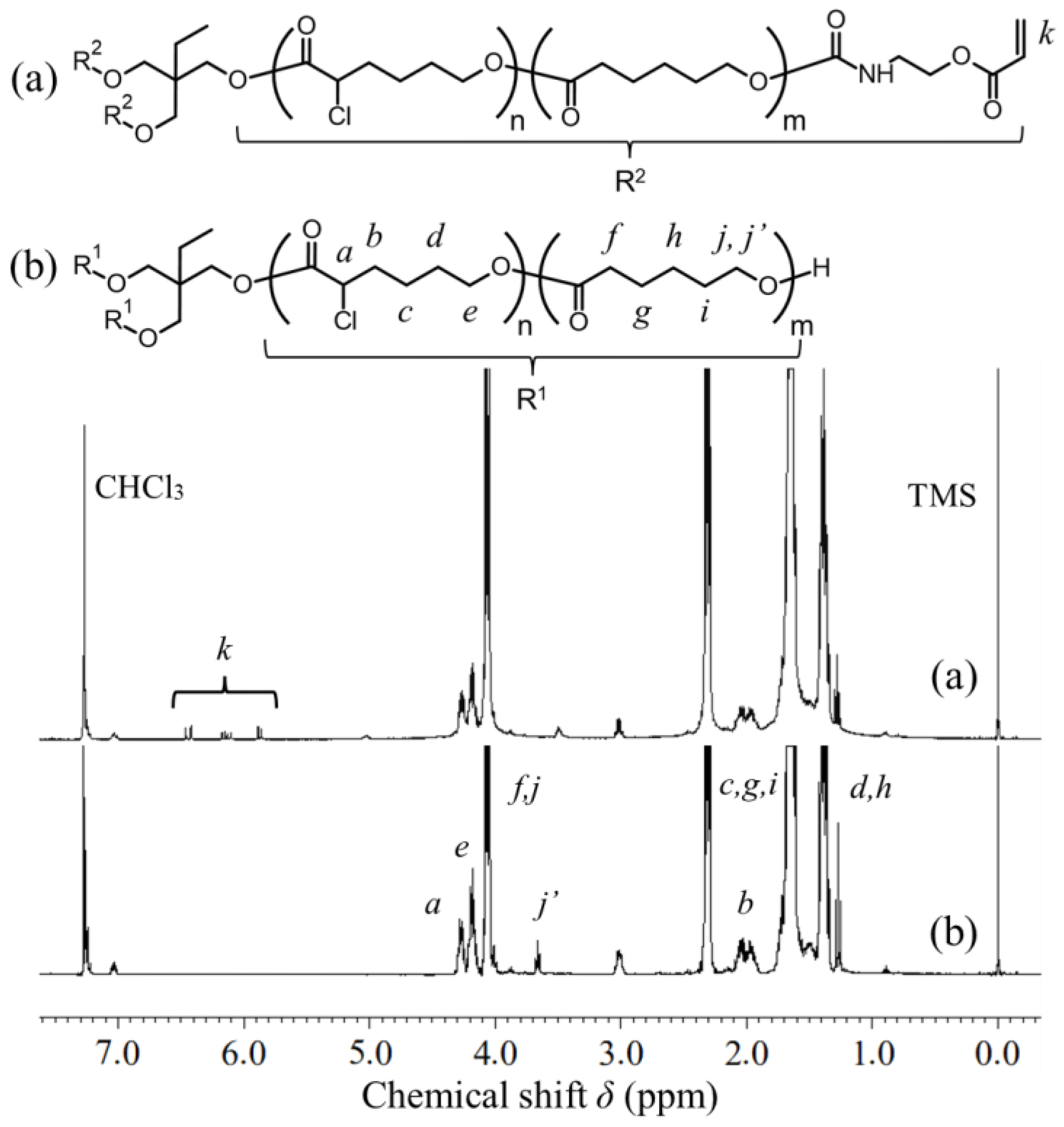 Applsci 14 09619 g001