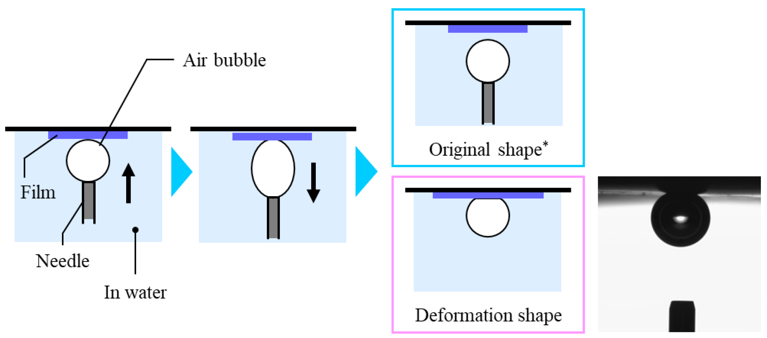 Applsci 14 09619 g005