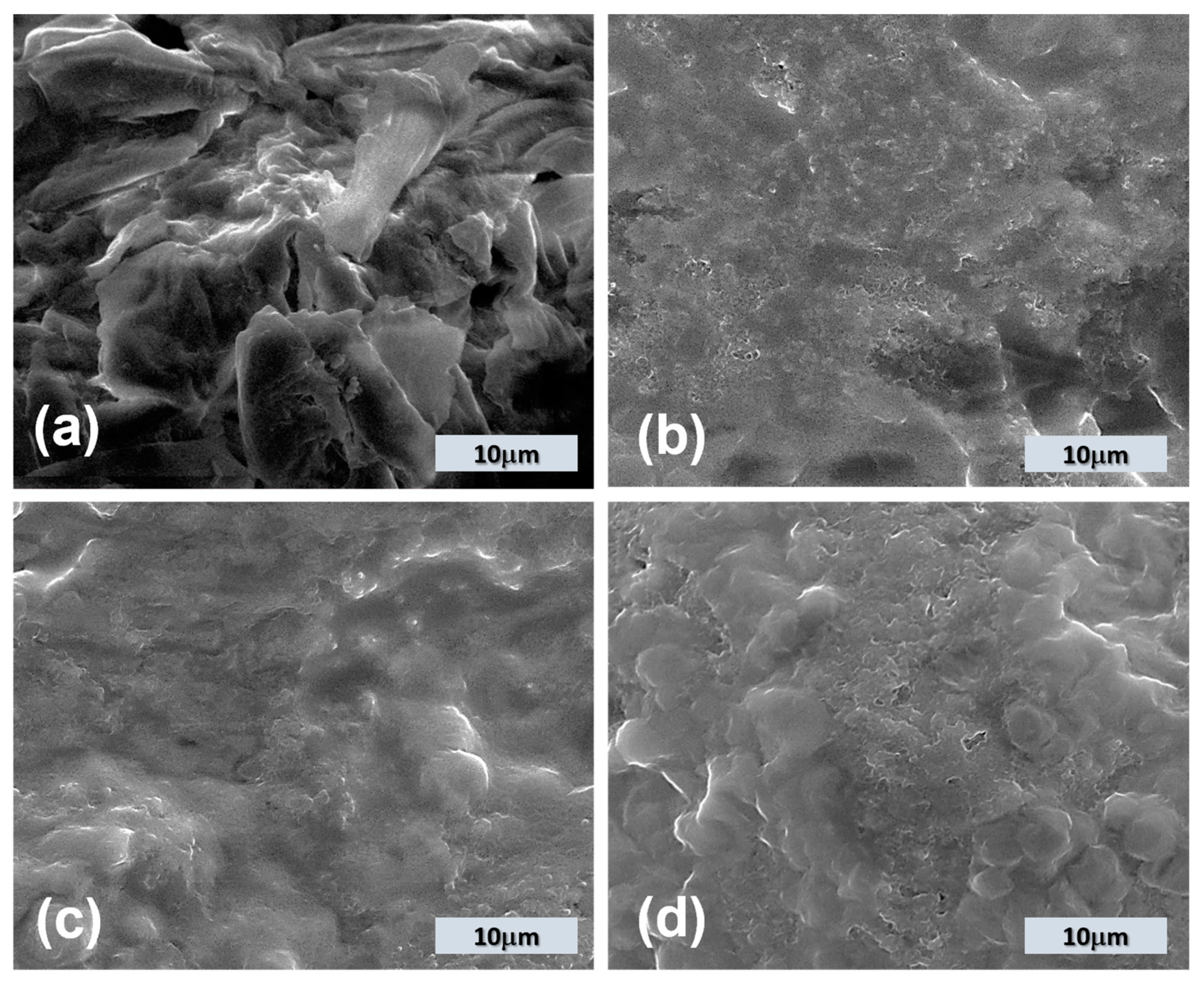 Applsci 14 09624 g002