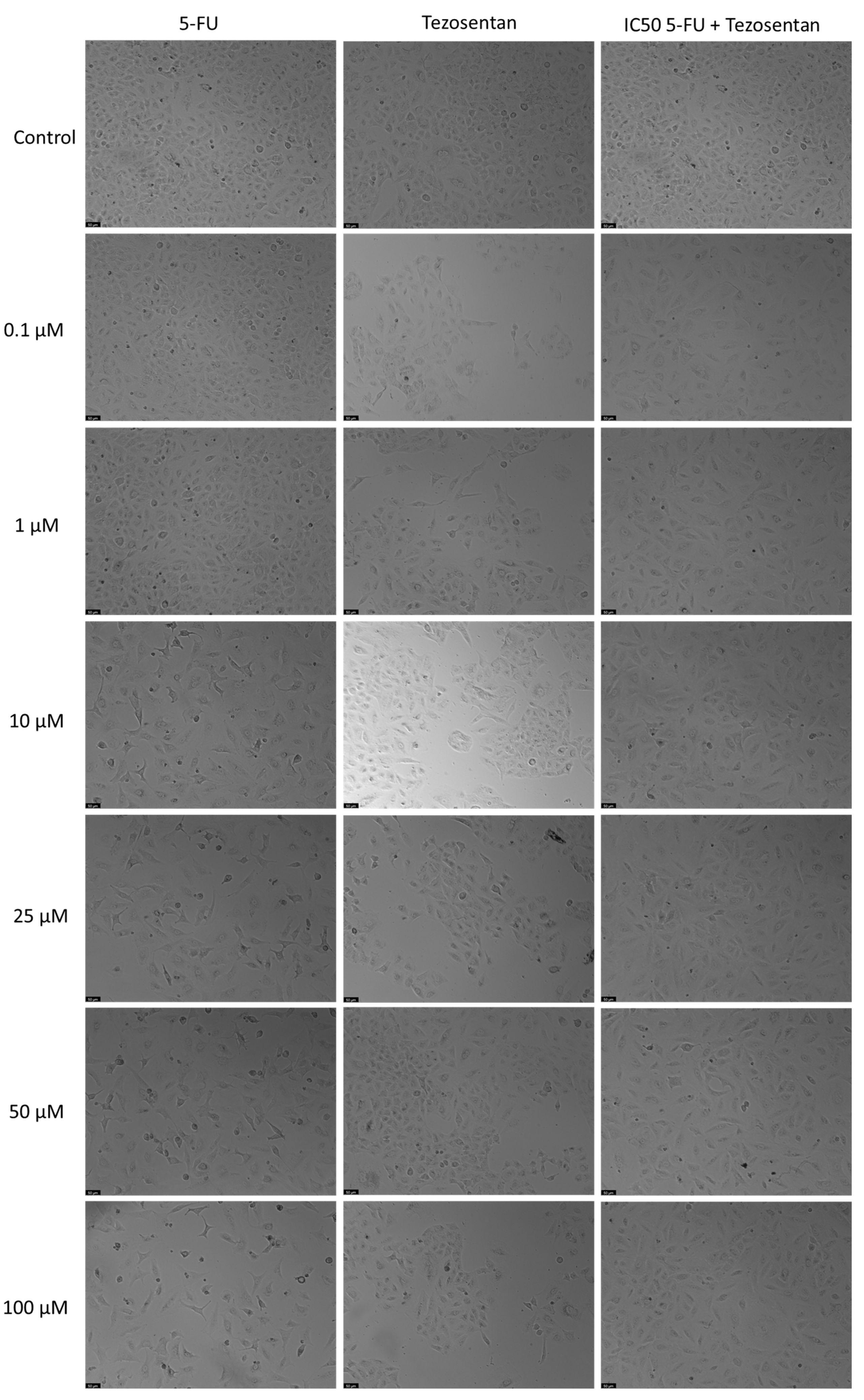 Applsci 14 09658 g005