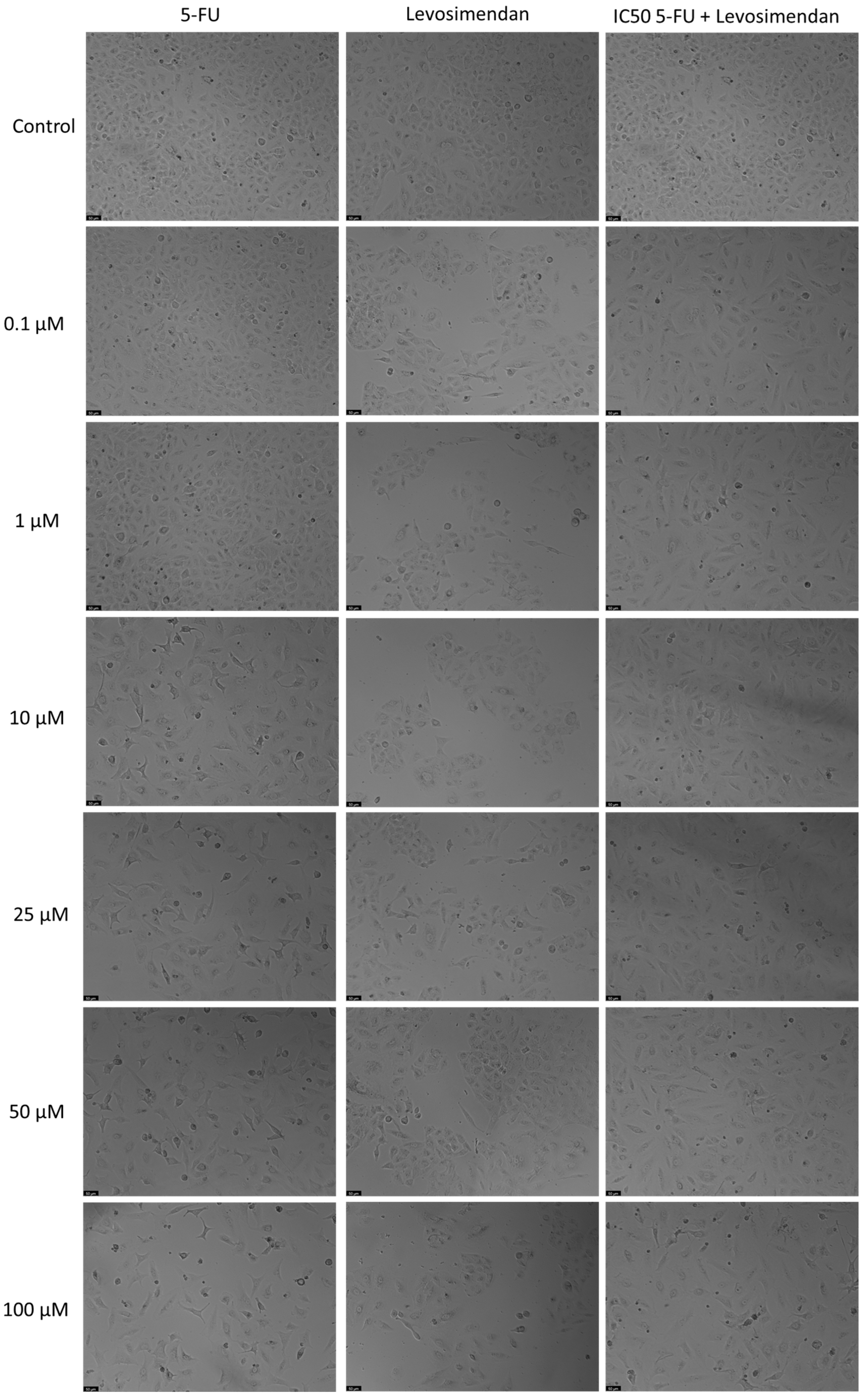 Applsci 14 09658 g007