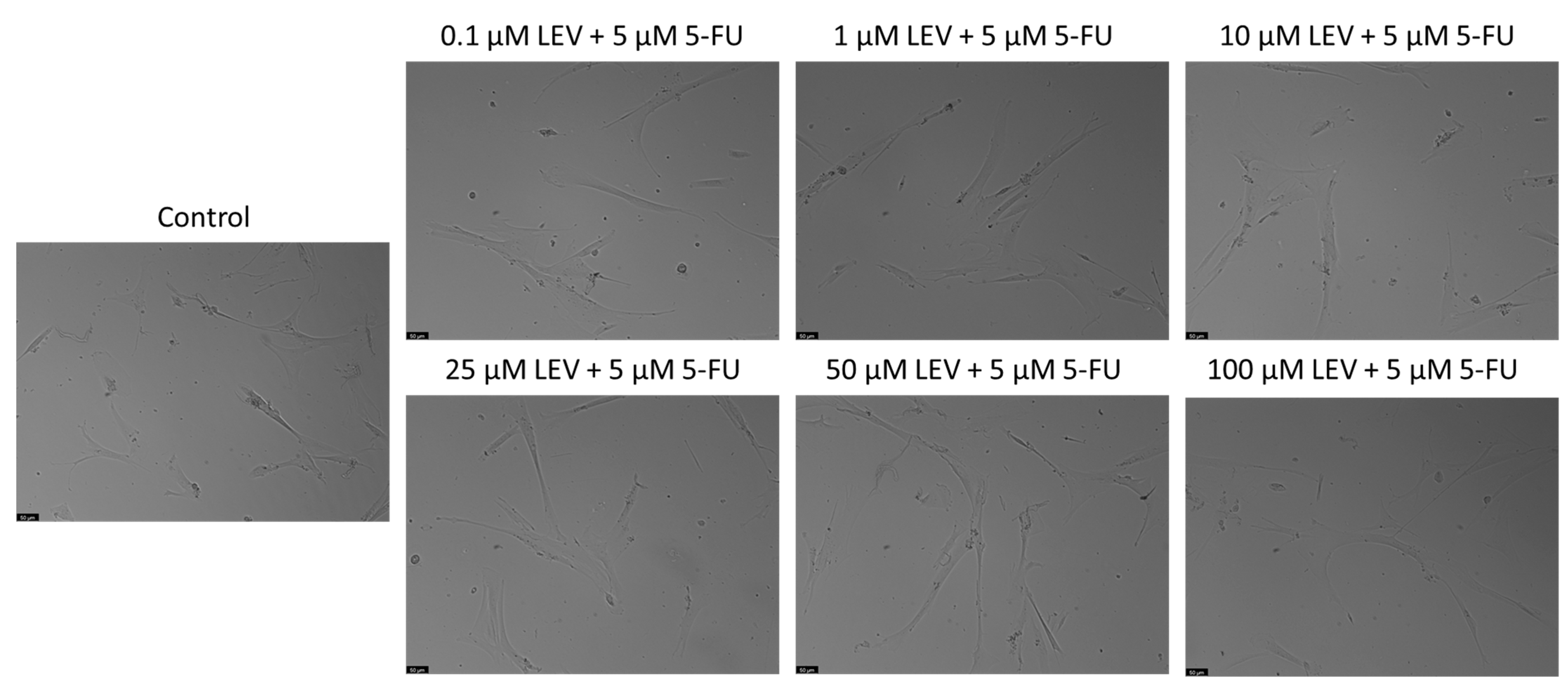 Applsci 14 09658 g009