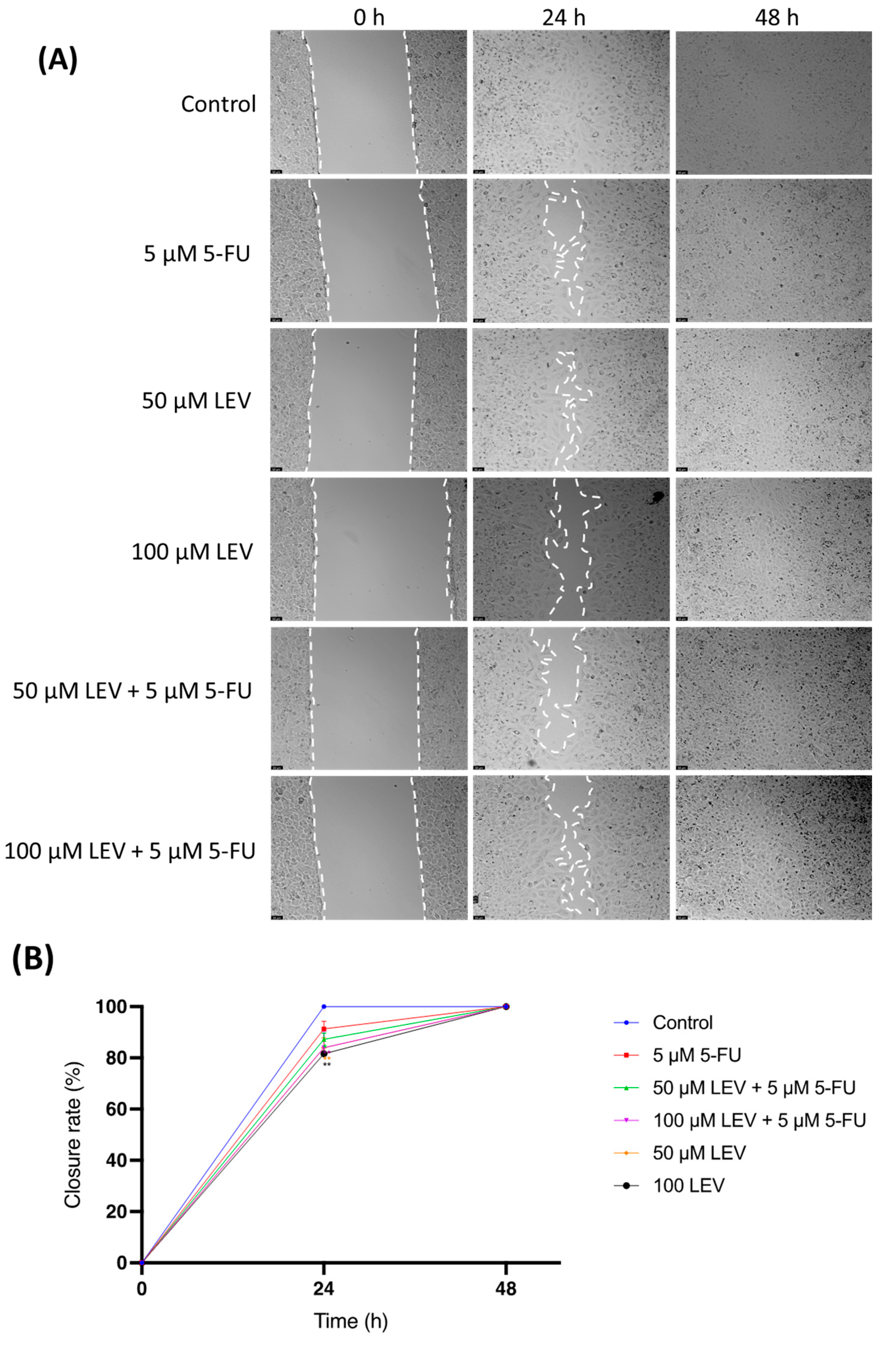 Applsci 14 09658 g010