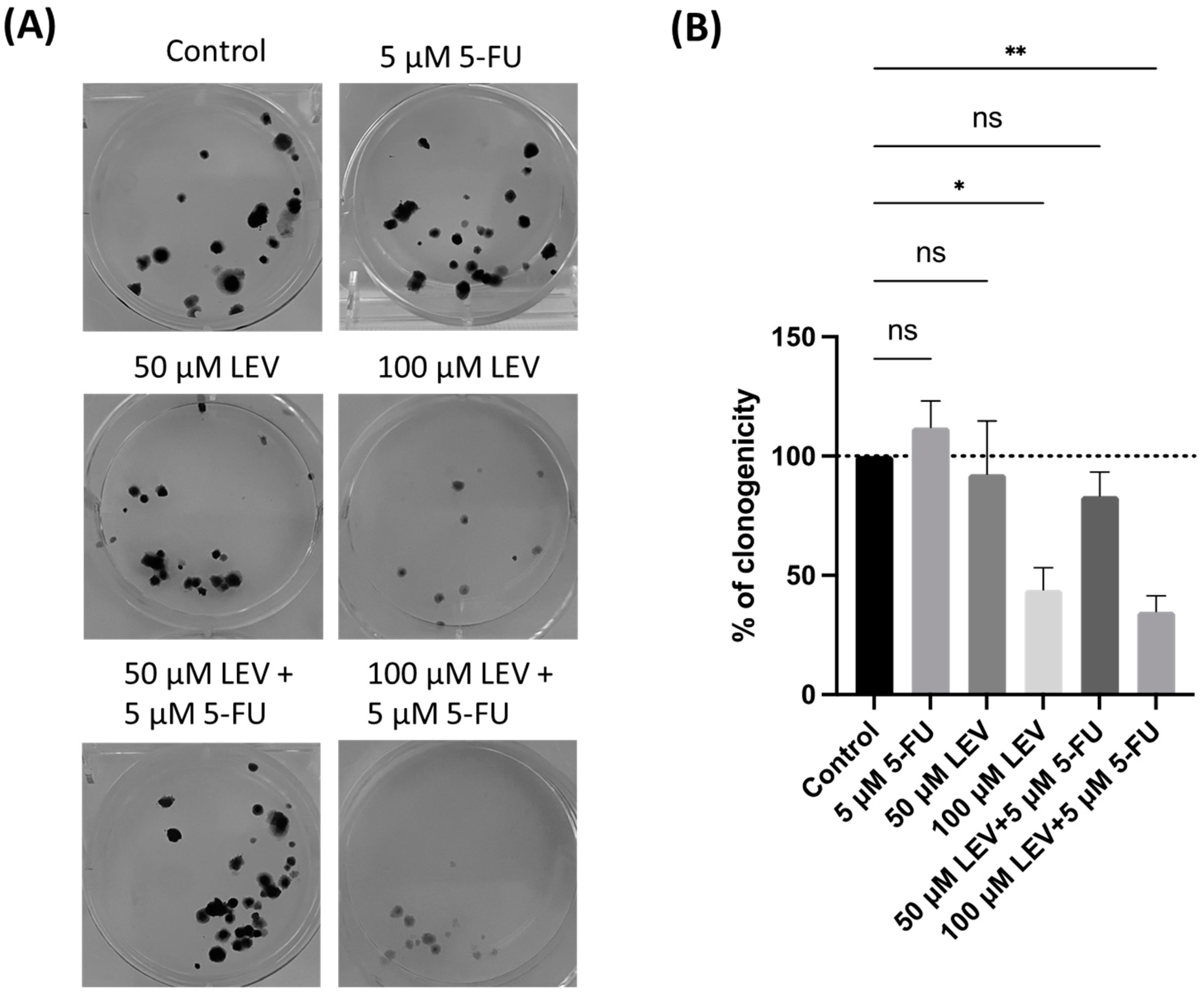 Applsci 14 09658 g011