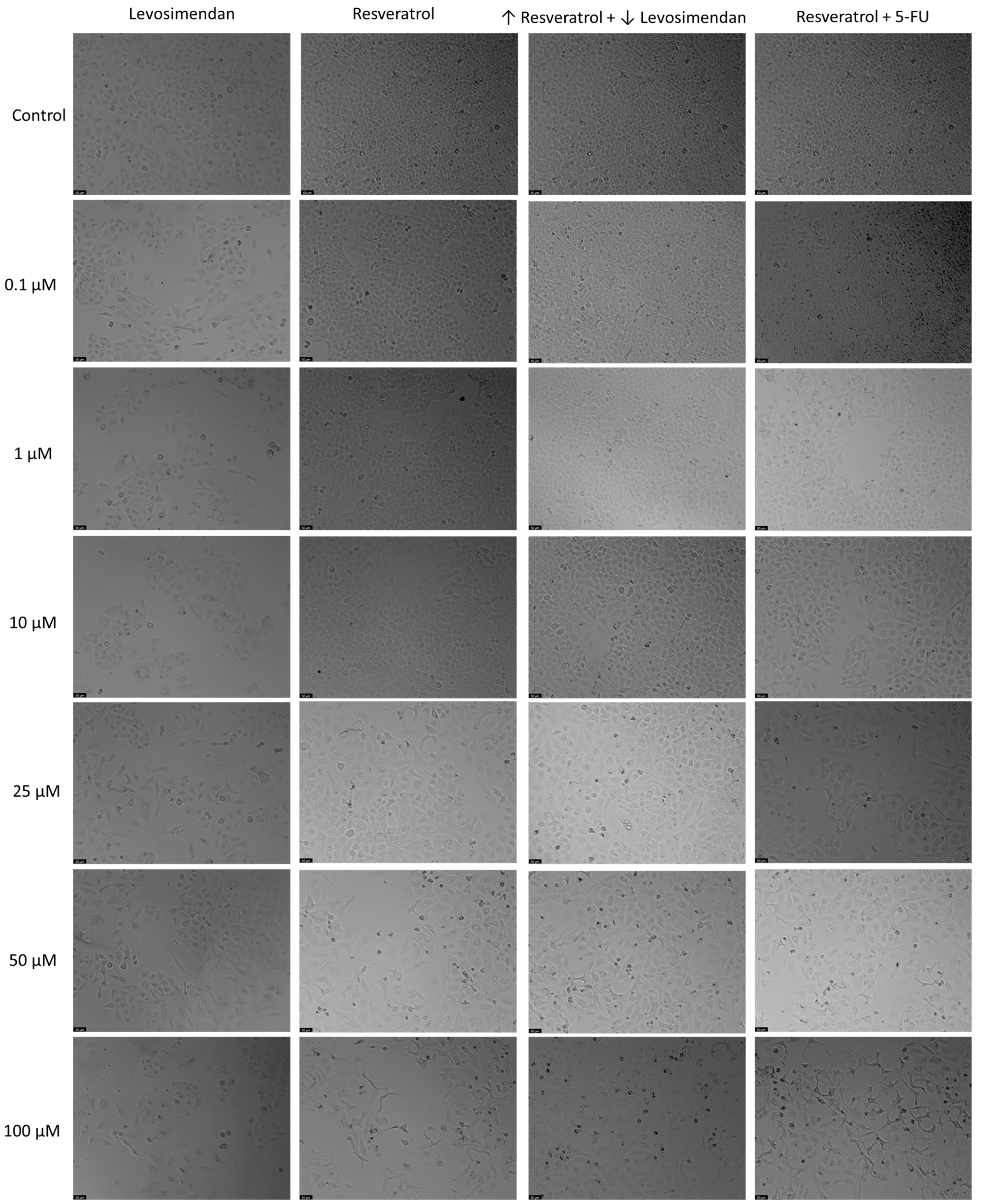 Applsci 14 09658 g013