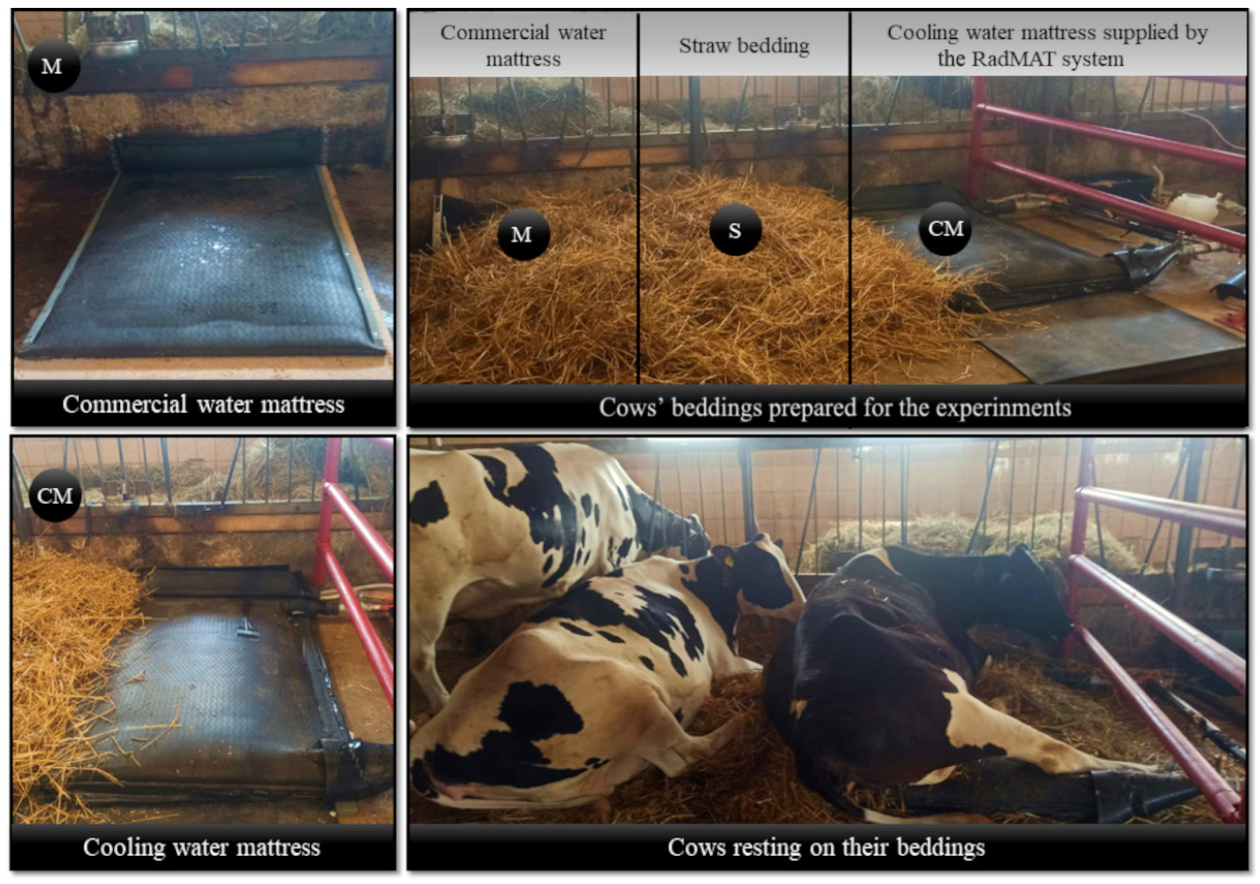 Applsci 14 09678 g004