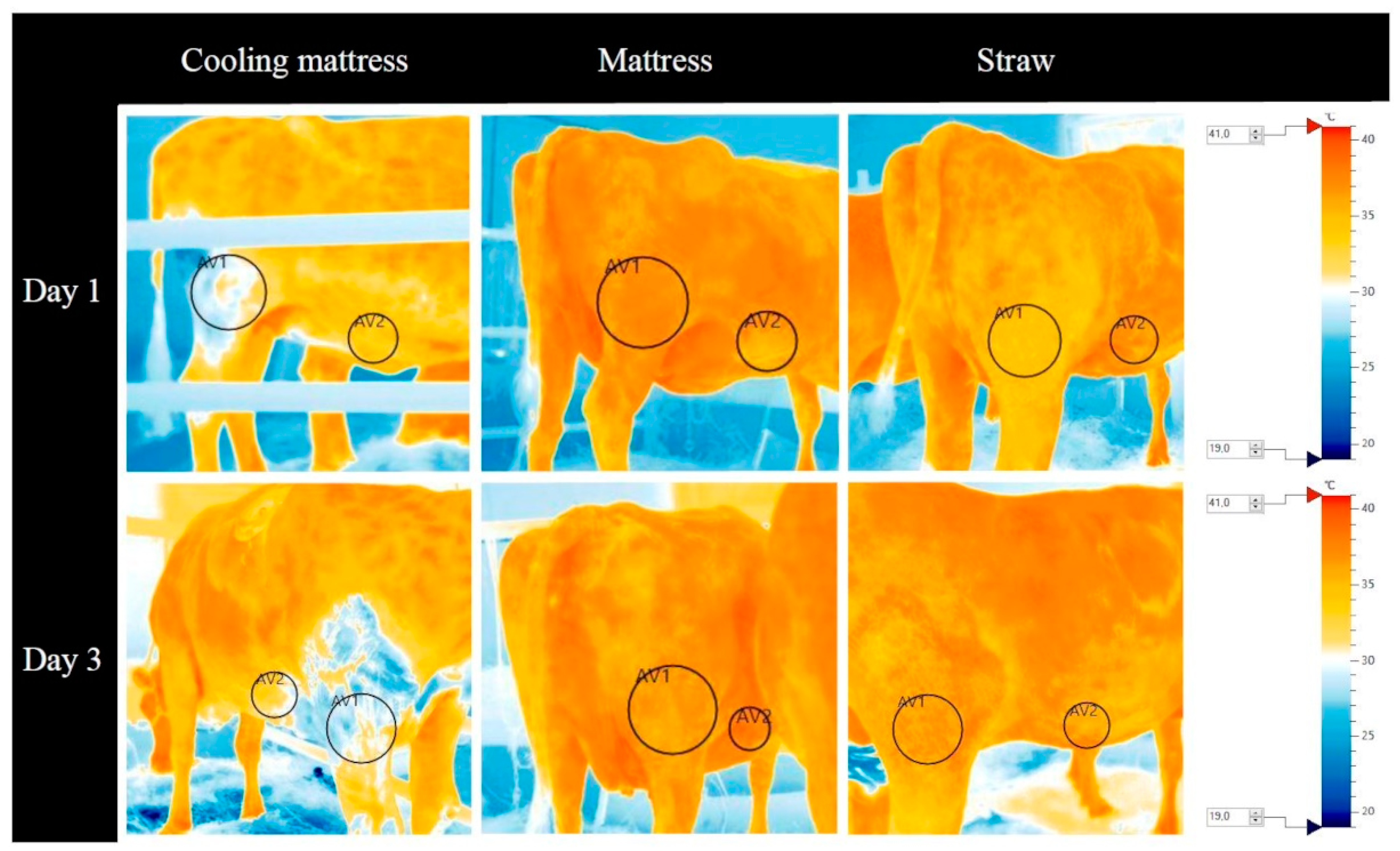 Applsci 14 09678 g010