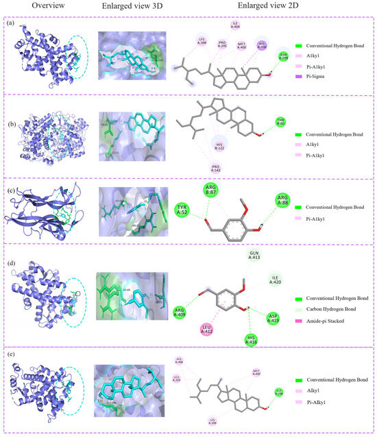 Application of Network Pharmacology, Molecular Docking, and