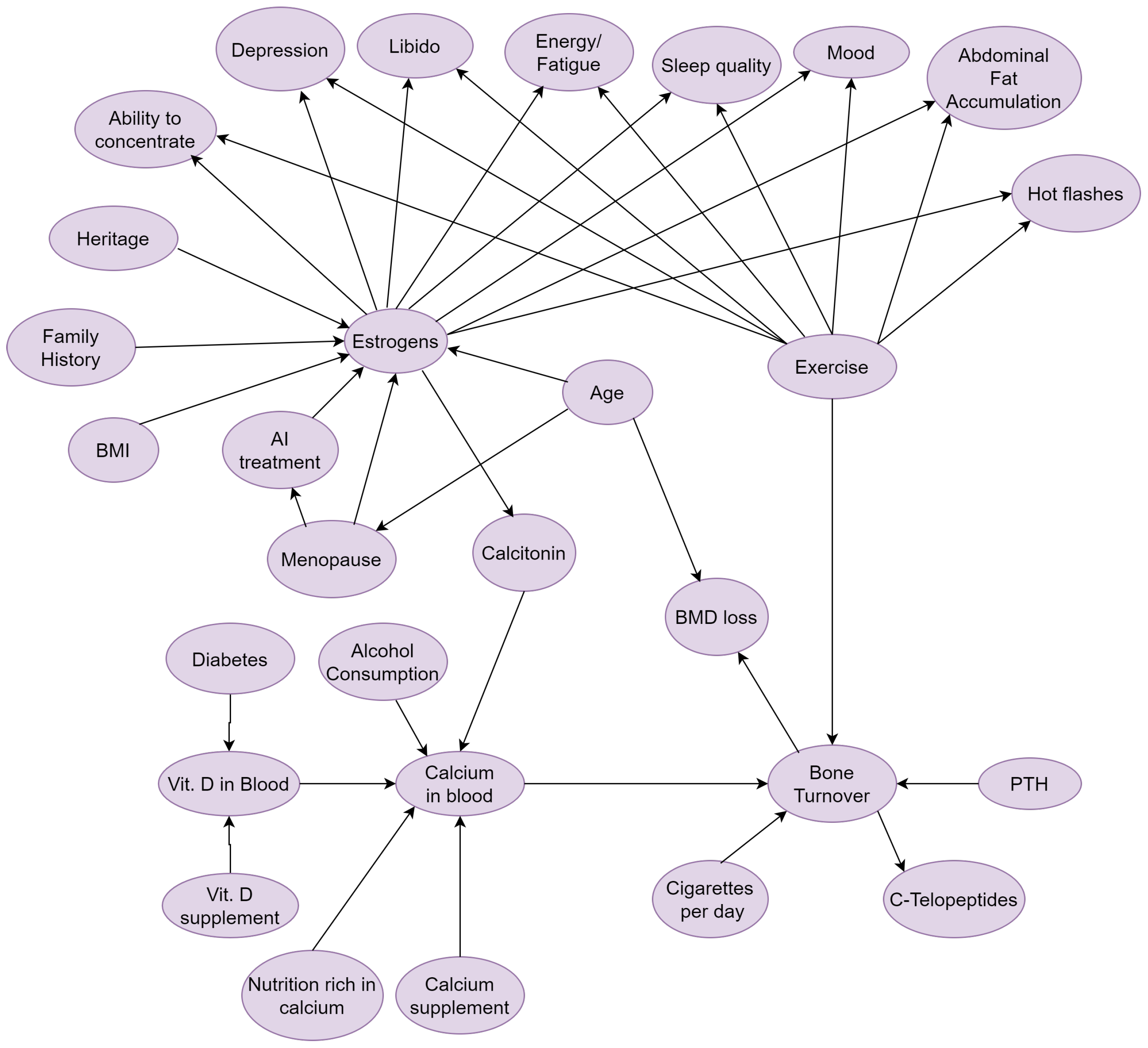 Applsci 14 09700 g002