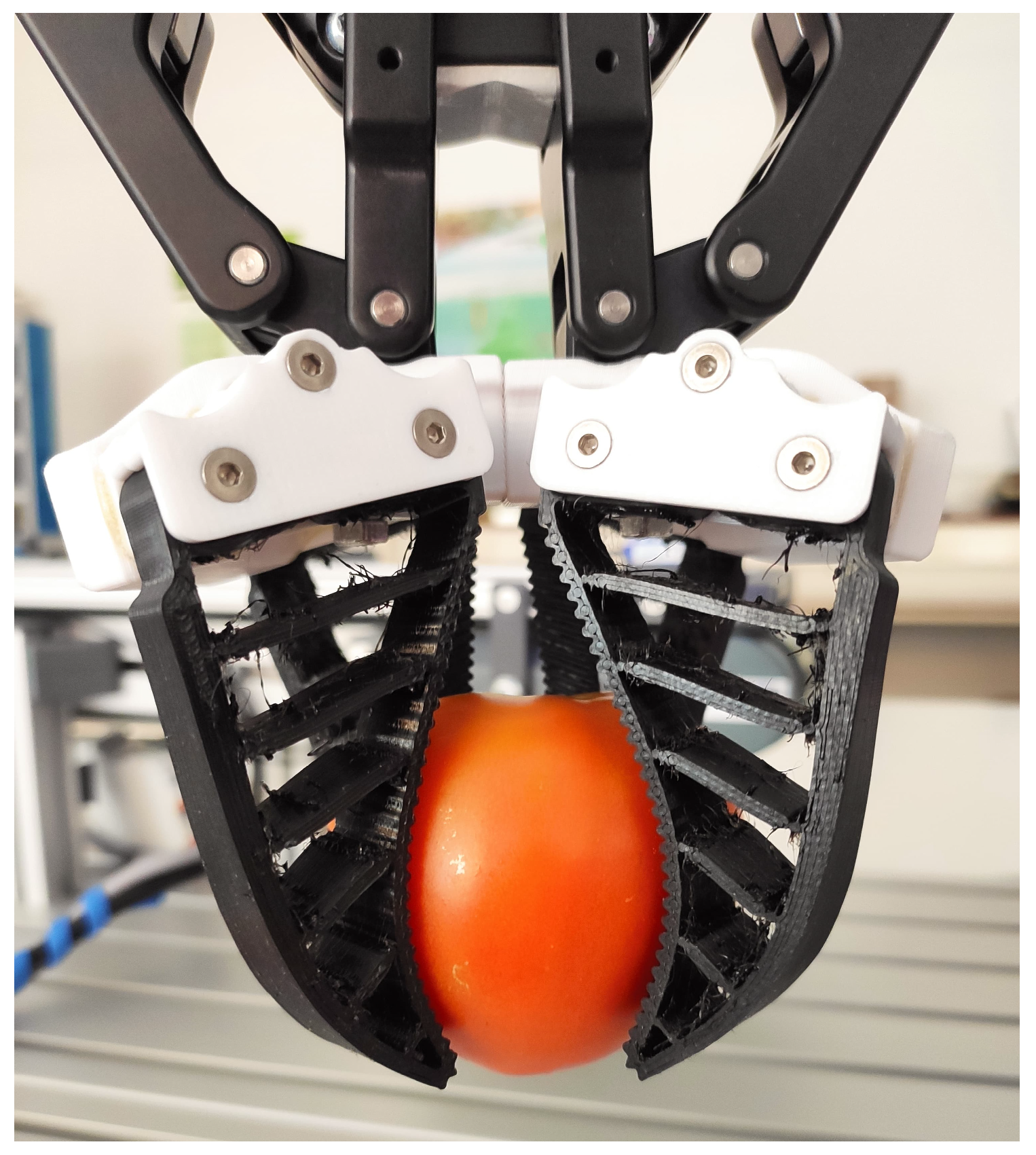 Applsci 14 09727 g002