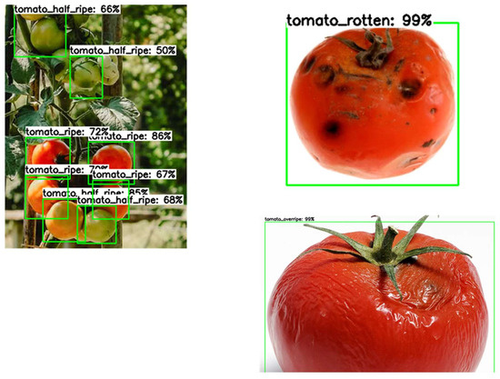 Computer Vision as a Tool to Support Quality Control and Robotic ...
