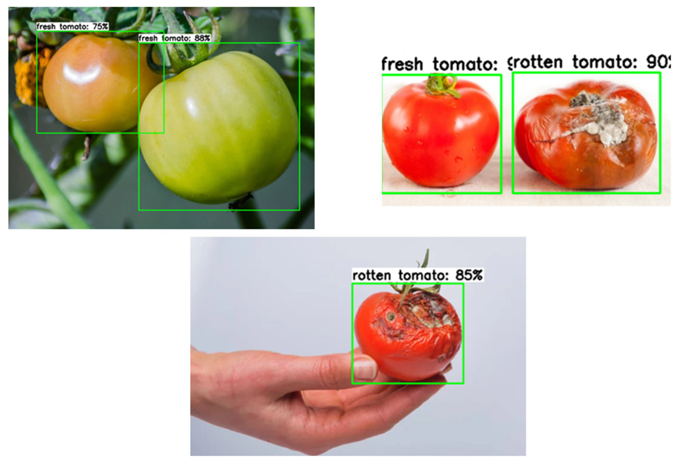 Applsci 14 09727 g018