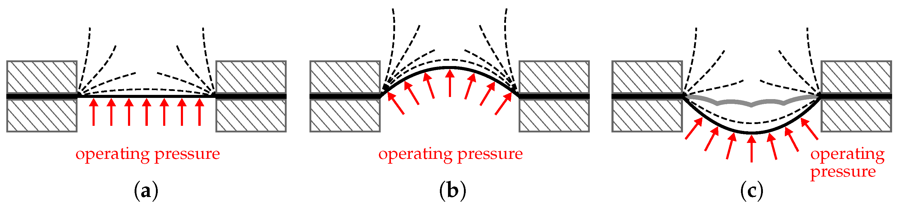 Applsci 14 09731 g001