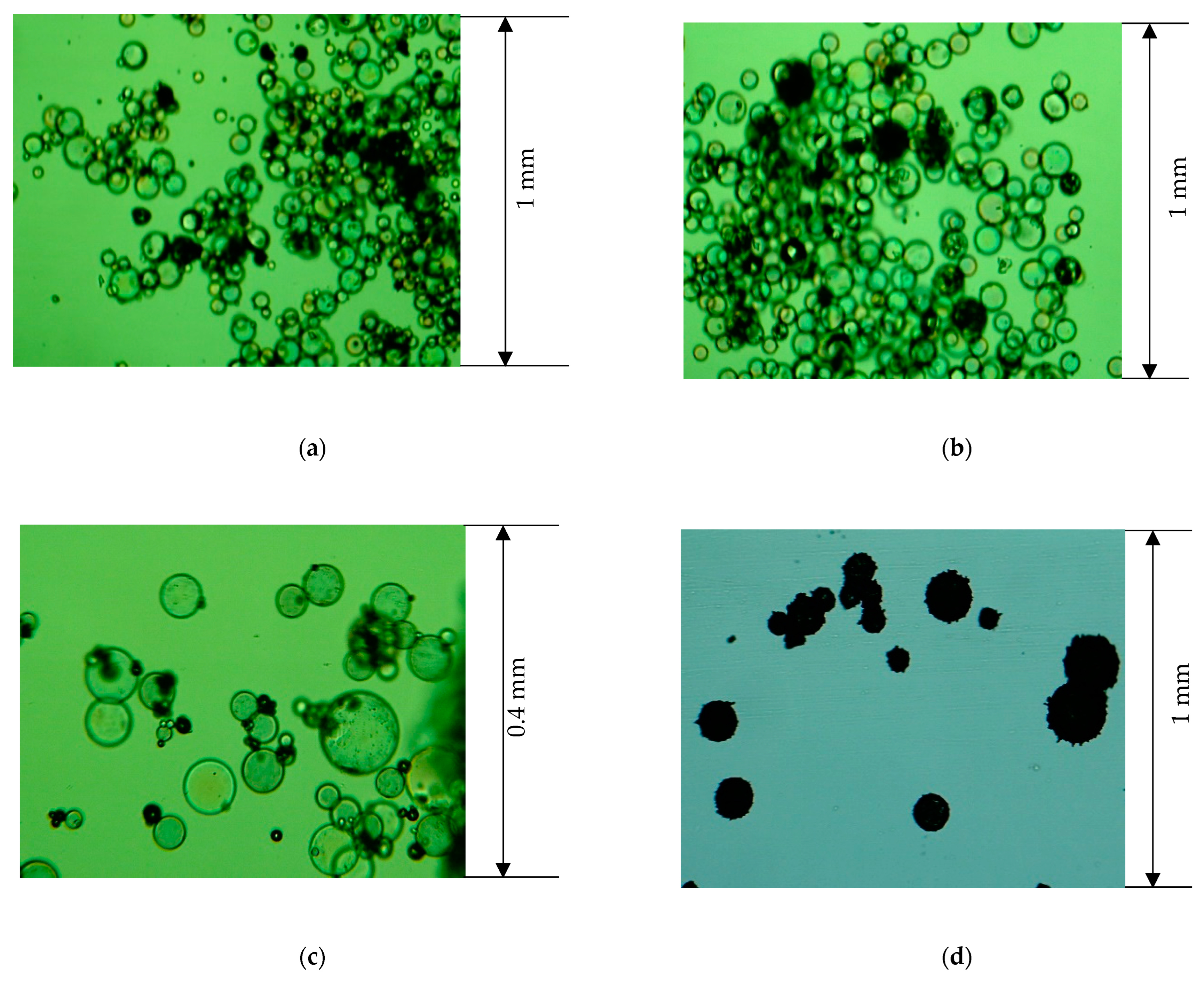 Applsci 14 09765 g001a