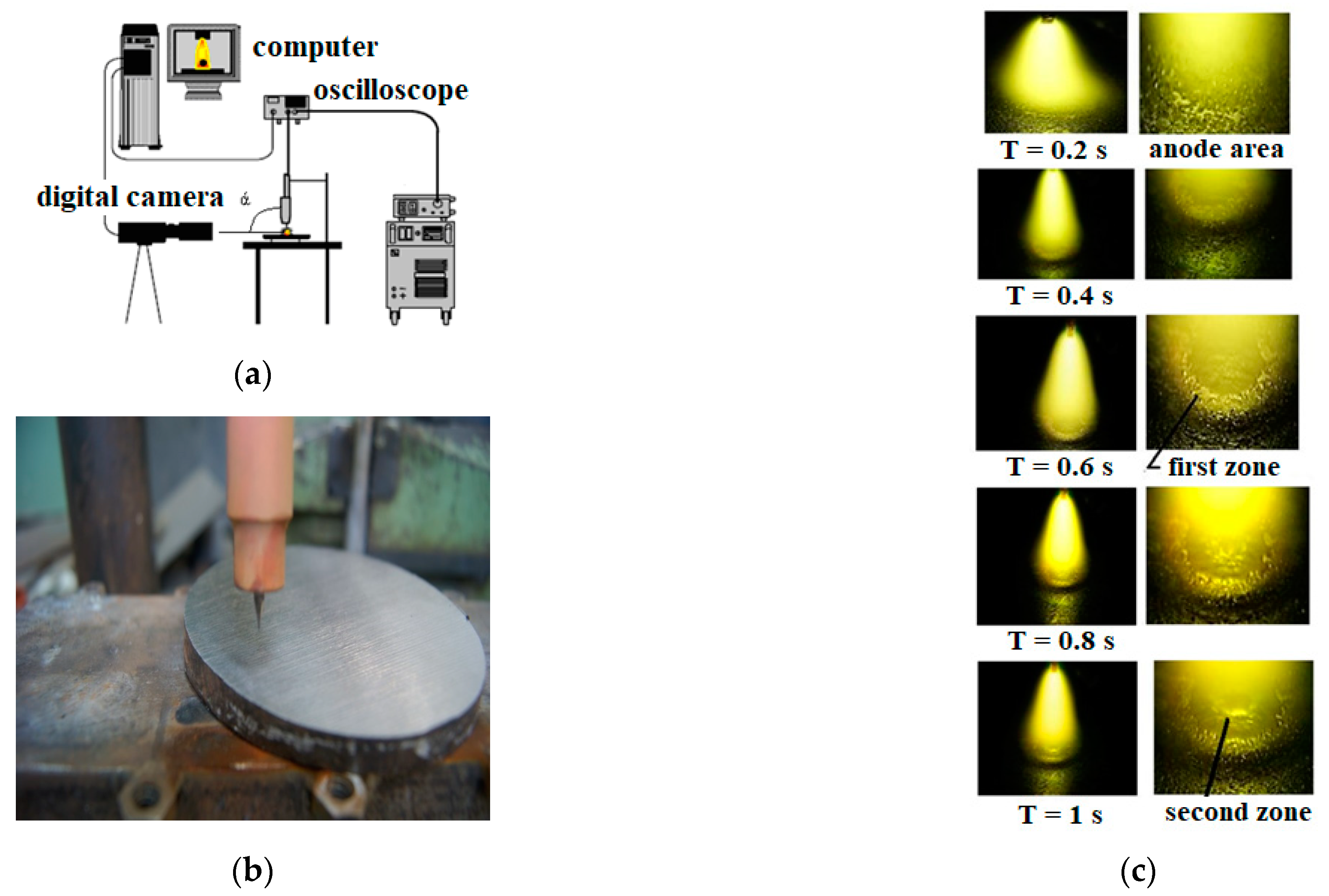 Applsci 14 09774 g001