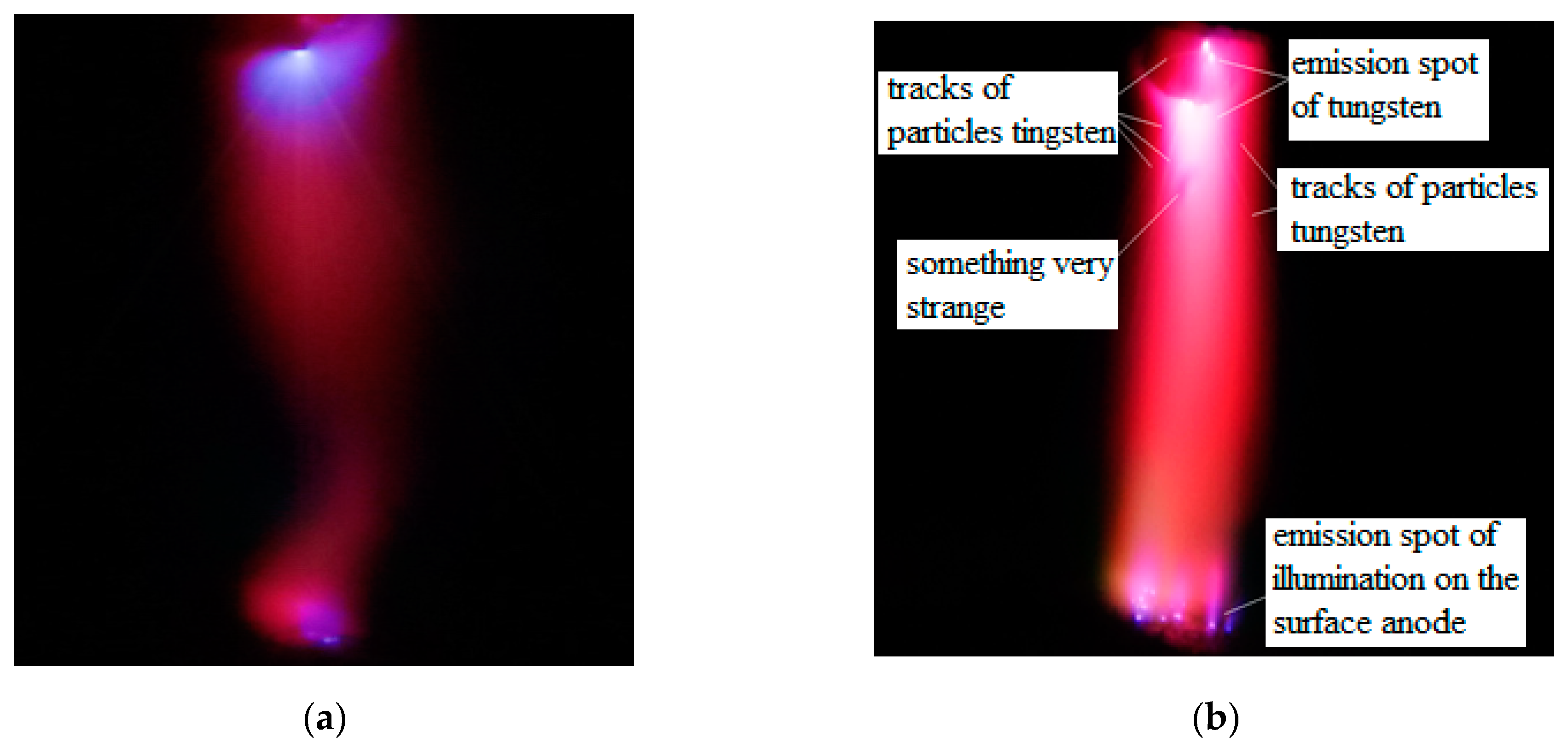 Applsci 14 09774 g005