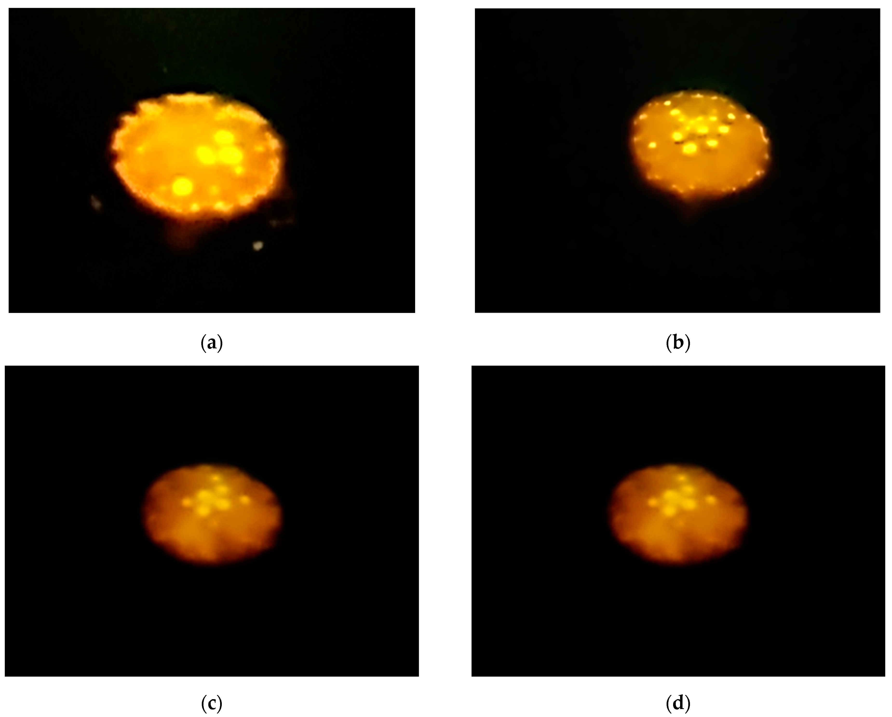 Applsci 14 09774 g013