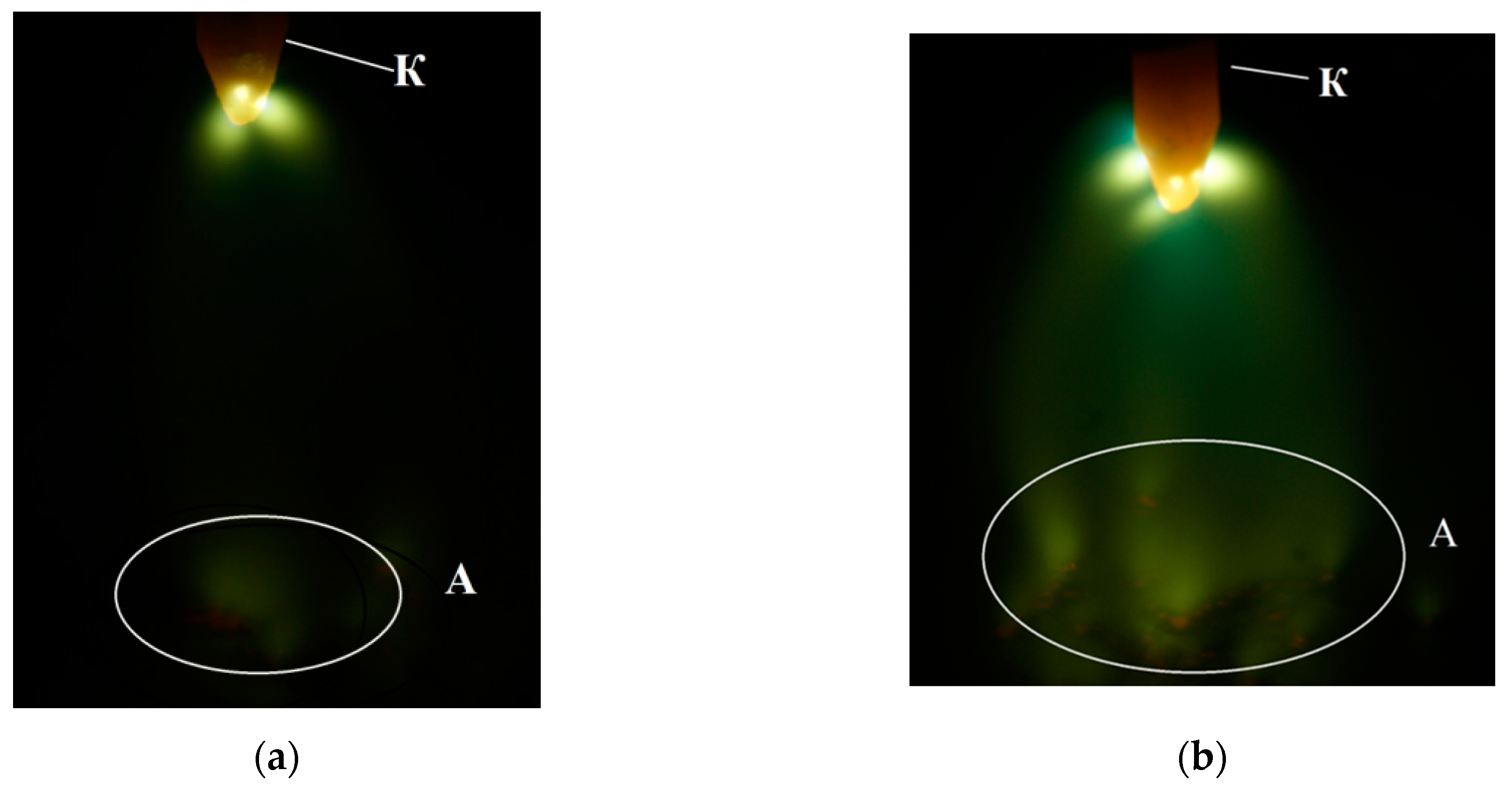 Applsci 14 09774 g015a