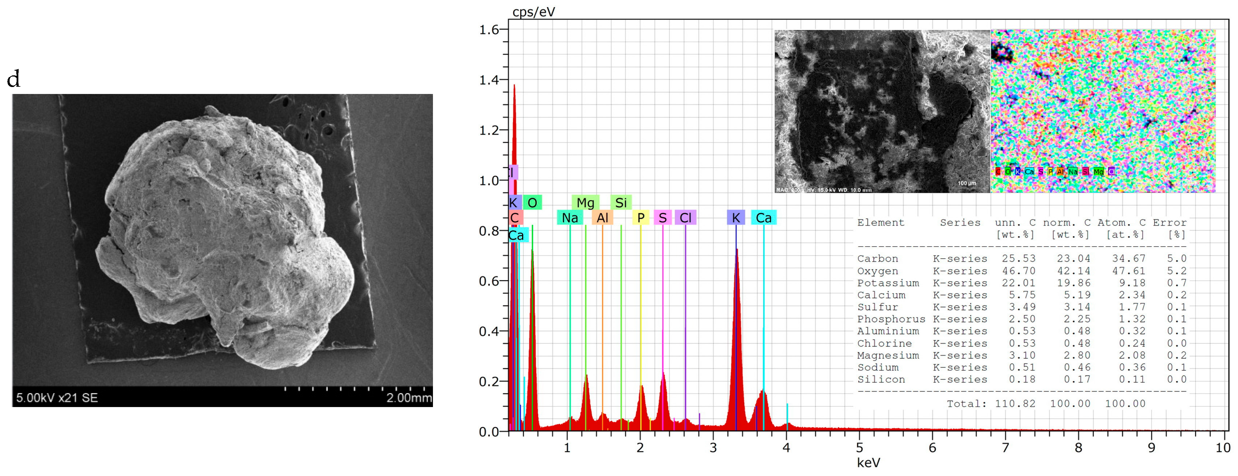 Applsci 14 09784 g003b