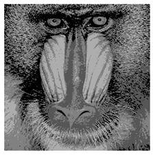 Applsci 14 09785 i009