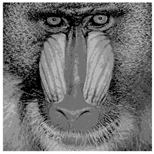 Applsci 14 09785 i010