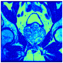 Applsci 14 09785 i0100