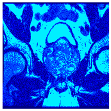 Applsci 14 09785 i0101