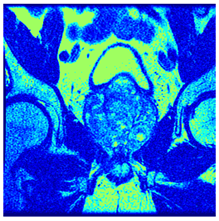 Applsci 14 09785 i0104