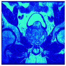 Applsci 14 09785 i0107