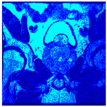 Applsci 14 09785 i0110