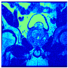 Applsci 14 09785 i0112