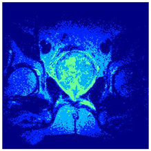 Applsci 14 09785 i0113