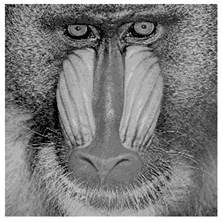 Applsci 14 09785 i012