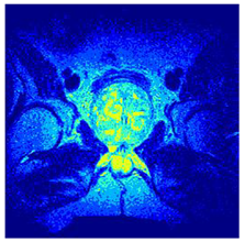 Applsci 14 09785 i0123