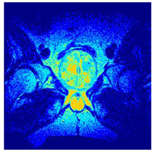 Applsci 14 09785 i0127