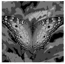 Applsci 14 09785 i013