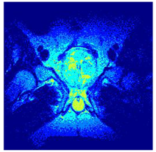 Applsci 14 09785 i0130