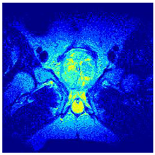 Applsci 14 09785 i0131