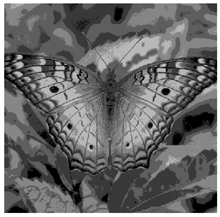 Applsci 14 09785 i014