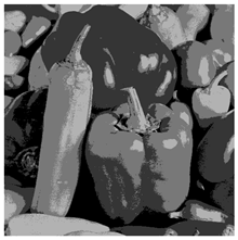 Applsci 14 09785 i021