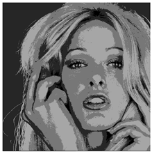 Applsci 14 09785 i030