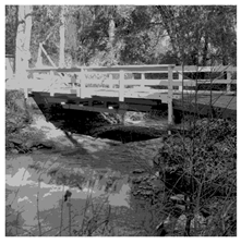 Applsci 14 09785 i035